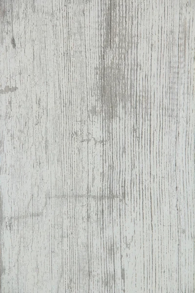 texture of aged wood white