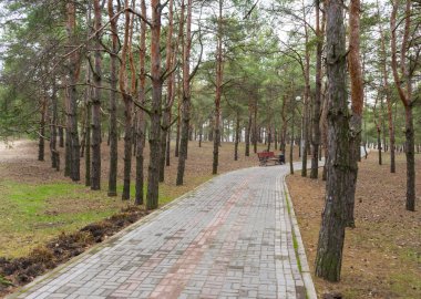 Parkta bahar rekreasyon iz