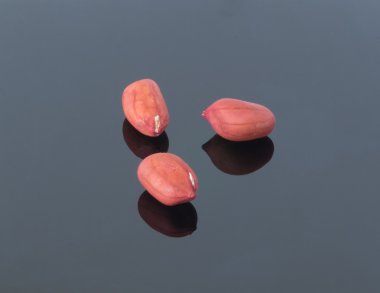 siyah arka plan üzerine fıstık. Ön planda yansıma.