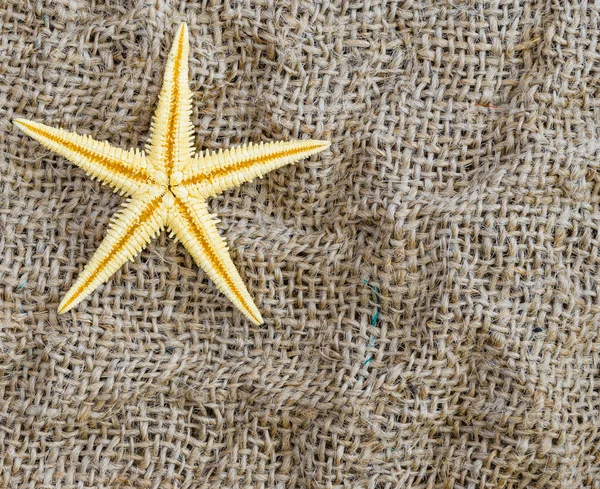 Rozgwiazda leży na tle pięknej tkaniny. — Zdjęcie stockowe