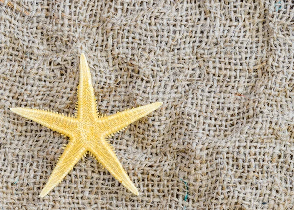 Rozgwiazda leży na tle pięknej tkaniny. — Zdjęcie stockowe