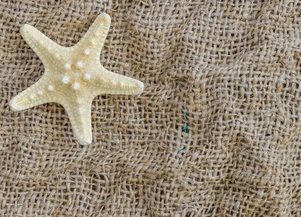Estrella de mar se encuentra sobre un hermoso fondo de tela . — Foto de Stock