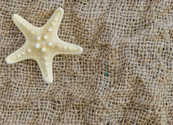 Estrella de mar se encuentra sobre un hermoso fondo de tela . —  Fotos de Stock