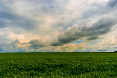 Yaz yatay, yeşil alan, bulutlar yağmur önce