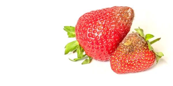 Hochauflösendes Bild von faulen Erdbeeren — Stockfoto