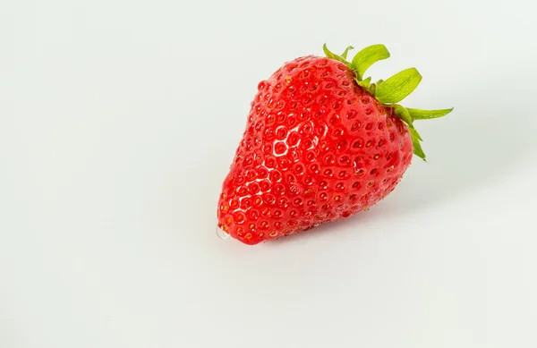 Trauben reifer roter, ganz frischer Erdbeeren mit grünen Stielen und Blütenknospen auf hellgrauem Hintergrund mit — Stockfoto