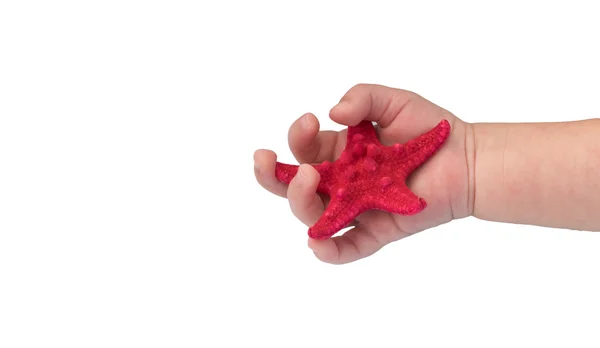 Estrella de mar en la mano del recién nacido aislada sobre fondo blanco —  Fotos de Stock