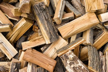 taze odun ormanda yaptı