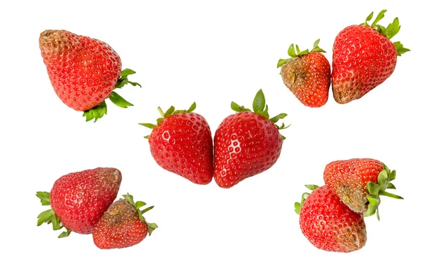 Fresas podridas aisladas sobre fondo blanco — Foto de Stock