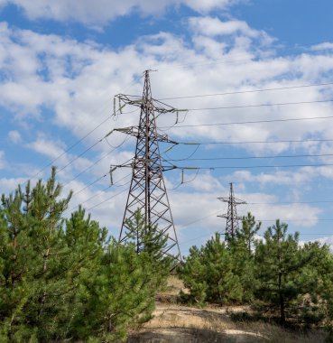 Elektrik İletim pilon ve güç hatları bir ormanda.