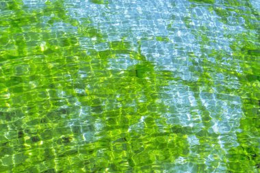 Parlak mavi su dalgalanma arkaplanı