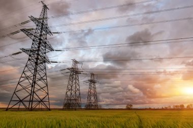 Bulutlu bir gökyüzünün arka planında yeşil buğday tarlasından geçen yüksek voltajlı elektrik hatları..