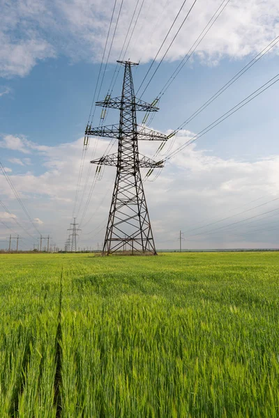 High voltage power lines leading through a green field. Transmission of electricity by means of supports through agricultural areas.