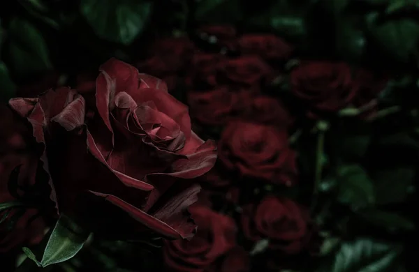 Page 20  Dark Burgundy Rose Images  Free Download on Freepik