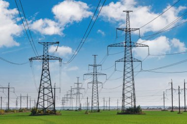 Baharda yeşil buğday tarlasında elektrik hatları.