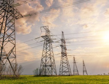 Baharda yeşil buğday tarlasında elektrik hatları.