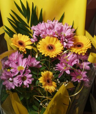 Leylak kasımpatılarıyla sıcacık renklerde güzel sarı gerberalar..