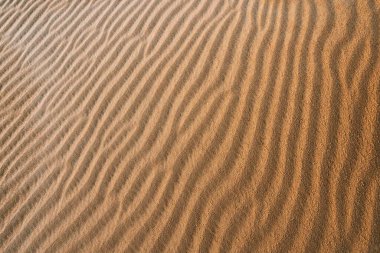 Bir çöl kumulundaki kum dokusu ve rüzgar tarafından oluşturulan dalgalar şeklinde desenler..