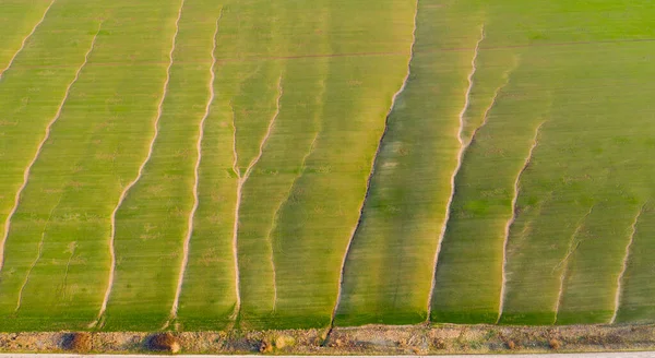 空中から見た水の浸食と春の田の抽象的な背景 — ストック写真