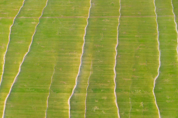 空中から見た水の浸食と春の田の抽象的な背景 — ストック写真