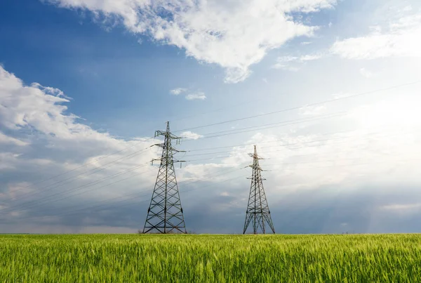 Elektriciteitsleidingen Het Voorjaar Een Groen Tarweveld — Stockfoto