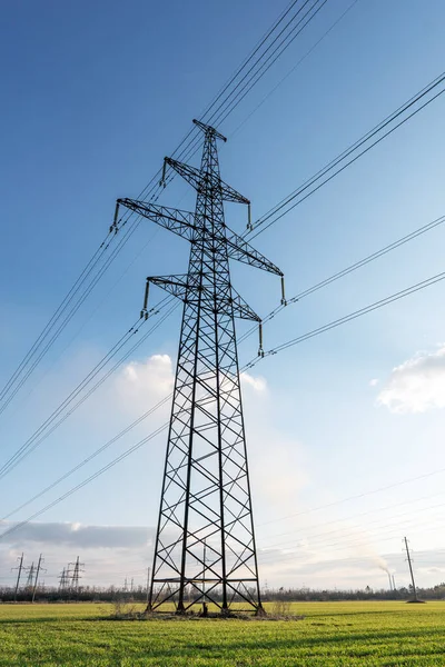 power lines in the spring in a green wheat field.