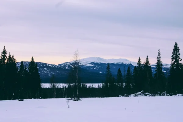 Winterlandschaft und Sonnenlicht — Stockfoto