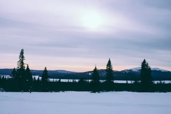 Ural vinter landskap och solljus Stockbild