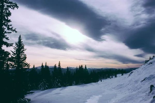 Ural vinter landskap och solljus Stockbild