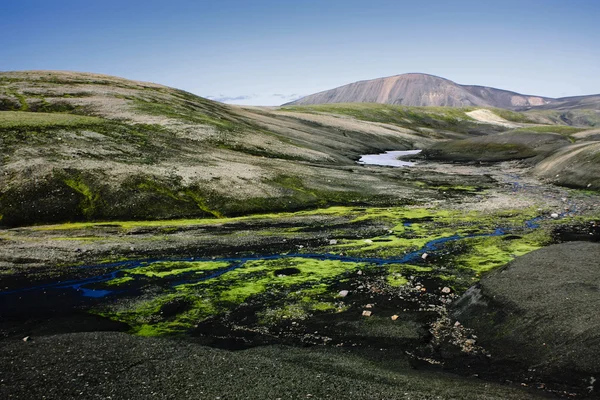 Paysage avec mousse en Islande. Tourisme de montagne et volcanique sont — Photo