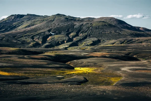 Paisagem com musgo na Islândia. Montanha e área vulcânica — Fotografia de Stock