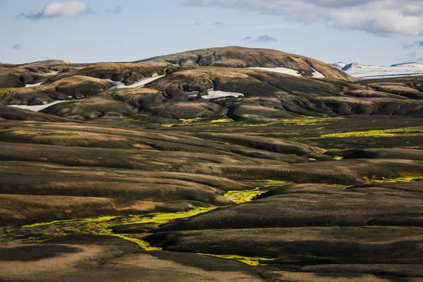 Paysage avec mousse en Islande. Montagne et zone volcanique — Photo