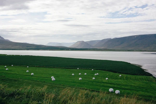 Paisaje en el norte de Islandia —  Fotos de Stock