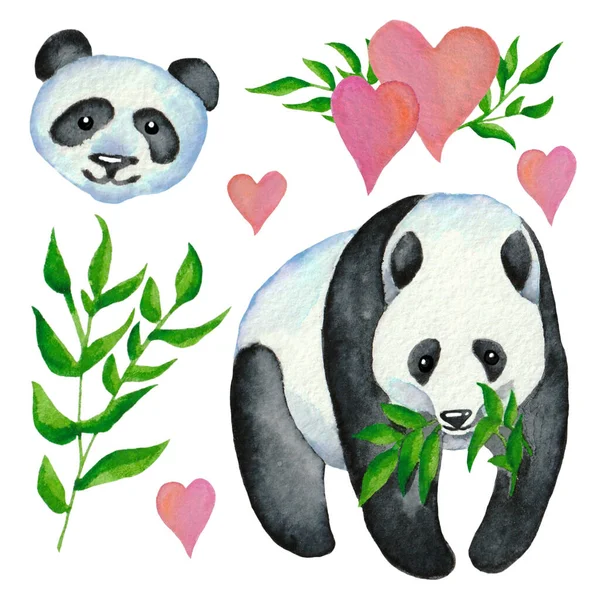Pink heart, green bamboo branch, panda and panda face