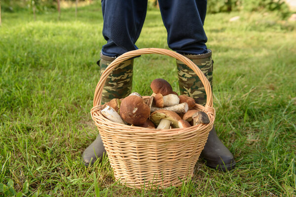 Цепи в корзине, Лесная муштра
