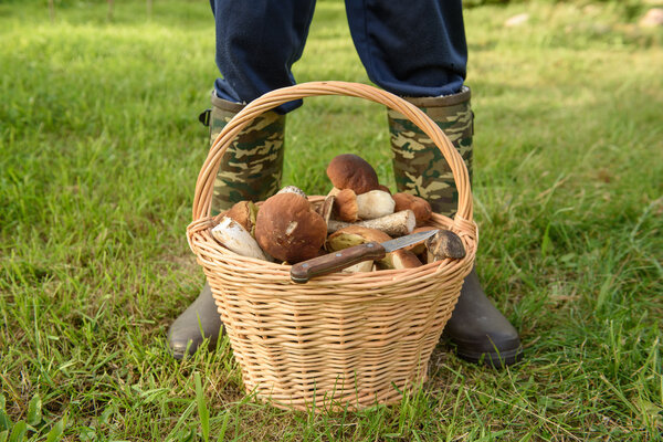 Цепи в корзине, Лесная муштра
