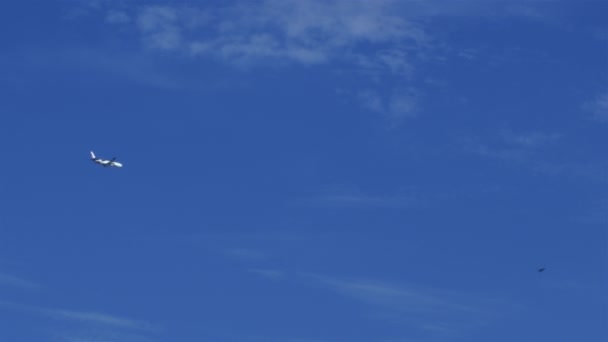Avião voando contra um céu azul claro - 4k — Vídeo de Stock