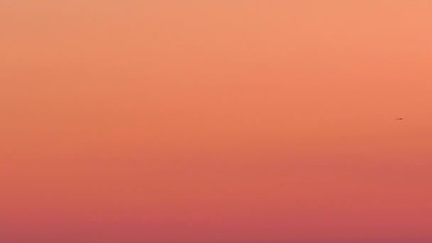Fågel silhouette flyger mot en orange glödande himlen vid solnedgången — Stockvideo