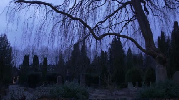 Cemitério assustador / cemitério ao entardecer - 4k — Vídeo de Stock