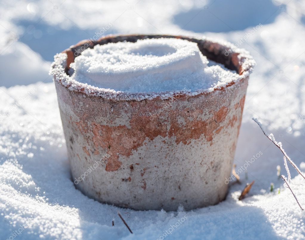 Flowerpot with Snow and Frost