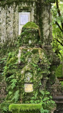 Büyüleyici bir yosunsu taştan yapı canlı, gür yeşilliklerle çevrili, doğal olarak Chiang Mai 'nin gücünü gösteriyor. 