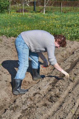 kadın arsa üzerinde toprakları