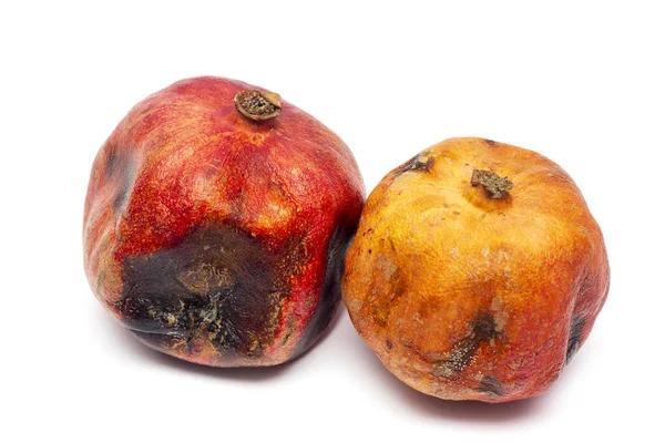 Moldy Pomegranate Isolated White Background Old Rotten Spoiled Fruit — Stock Photo, Image