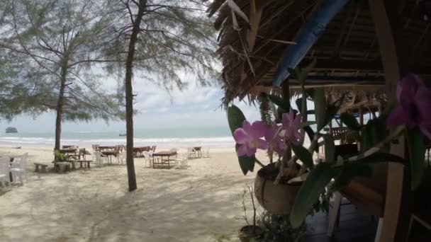 Kafe på en tropisk strand i Thailand, oseanfront-pasient med orkideer, solskinnsdag – stockvideo