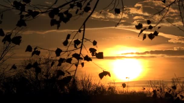 Autumn Sunset filmowania — Wideo stockowe