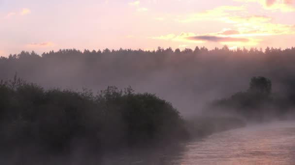 Gryning över floden, dimma, ljus rosa, sommar — Stockvideo