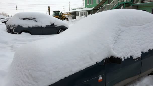 Kar temizleme traktör sonra kar fırtınası — Stok video
