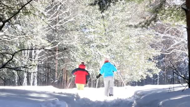两个妇女滑雪，走在冬季的松林，阳光灿烂的日子 — 图库视频影像