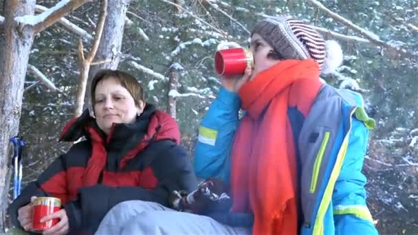 Zwei Frauen im Winter, bei einem Picknick, Tee trinken und lachen — Stockvideo