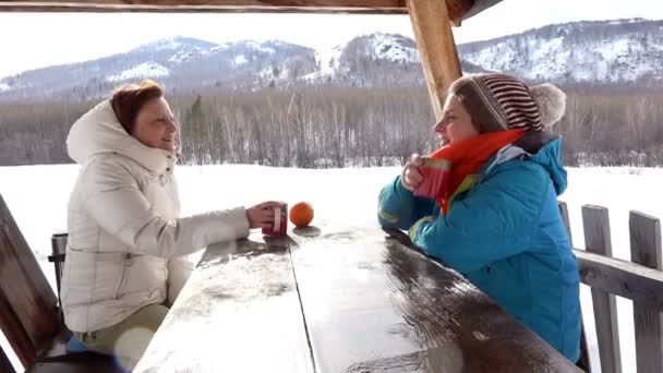 Twee vrouwen in de Winter, op een picknick, drinken van thee en lachen — Stockvideo